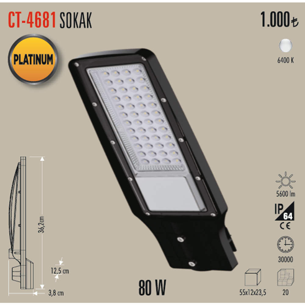 80W SOKAK ARMATÜRÜ CT-4681